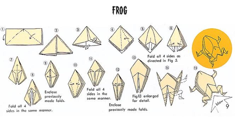 diagrams of frogs